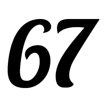 Polep vozidla Startovní číslo 67 typ 3 (01 - černá) SAMOLEPKA NA AUTO, NÁLEPKA, FÓLIE, POLEP, TUNING, VLASTNÍ TEXT, TISK, AUTOSAMOLEPKY.cz, POLEPY, OBRÁZEK, LOGO, 3D STICKERS