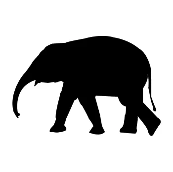 Samolepící dekorace SAMOLEPKA Slon 017 levá (01 - černá) NA AUTO, NÁLEPKA, FÓLIE, POLEP, TUNING, VLASTNÍ TEXT, TISK, AUTOSAMOLEPKY.cz, POLEPY, OBRÁZEK, LOGO, SAMOLEPKY