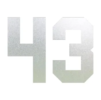 Polep vozidla Startovní číslo 43 (60 - pískované sklo) SAMOLEPKA NA AUTO, NÁLEPKA, FÓLIE, POLEP, TUNING, VLASTNÍ TEXT, TISK, AUTOSAMOLEPKY.cz, POLEPY, OBRÁZEK, LOGO, 3D STICKERS