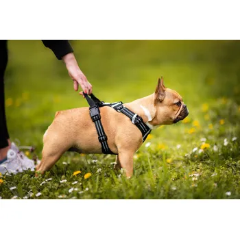 Postroj pro psa Vsepropejska Zodo sportovní postroj pro psa | 39 – 92 cm Barva: Černá, Obvod hrudníku: 39 - 49 cm, Obvod krku: 28 - 39 cm