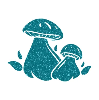 Samolepící dekorace SAMOLEPKA Houby 002 levá (92 - Ultra Metalic tyrkysová) NA AUTO, NÁLEPKA, FÓLIE, POLEP, TUNING, VLASTNÍ TEXT, TISK, AUTOSAMOLEPKY.cz, POLEPY, OBRÁZEK, LOGO, SAMOLEPKY