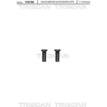 Brzdový kotouč Sada šroubů, brzdový kotouč TRISCAN 8105 116016