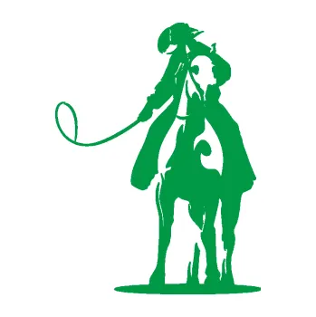 Samolepící dekorace Kovboj 002 levá na koni s bičem (12 - zelená) SAMOLEPKA NA AUTO, NÁLEPKA, FÓLIE, POLEP, TUNING, VLASTNÍ TEXT, TISK, AUTOSAMOLEPKY.cz, POLEPY, OBRÁZEK, LOGO, 3D STICKERS