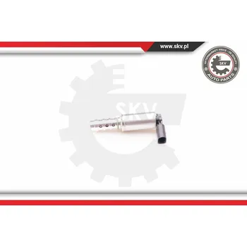 Vačková hřídel SKV Řídicí ventil, seřízení vačkového hřídele 39SKV009