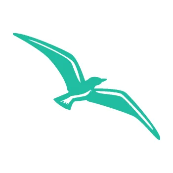 Samolepicí dekorace na vozidlo Racek 001 pravá (25 - tyrkysová) SAMOLEPKA NA AUTO, NÁLEPKA, FÓLIE, POLEP, TUNING, VLASTNÍ TEXT, TISK, AUTOSAMOLEPKY.cz, POLEPY, OBRÁZEK, LOGO, 3D STICKERS