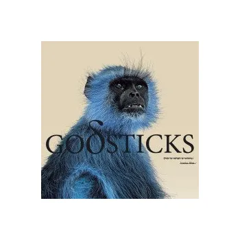 Zahraniční hudba This Is What A Winner Looks Like / Vinyl - Godsticks [LP]