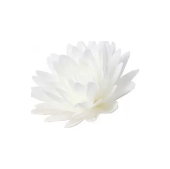 Jedlá dekorace na dort Jedlá dekorace (jedlý papír) - Pivoňka 12 cm / bílá