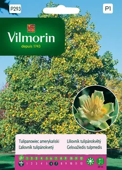 Semeno Vilmorin Premium liliovník tulipánokvětý 0,3 g