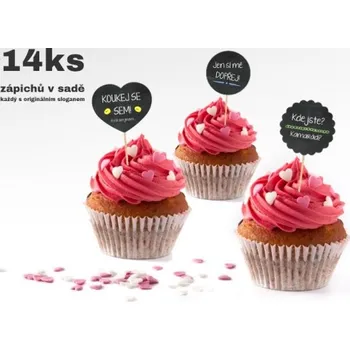 Party nádobí Zápichy do cupcakes - černé - 14 ks