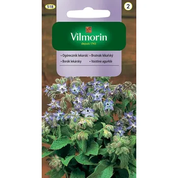 Semeno Vilmorin Brutnák lékařský 2 g