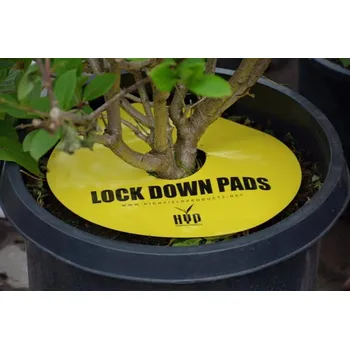 Hnojivo Hnojivo Ostatní Lepové pasti - kulaté - Ø30cm - 5ks v balení