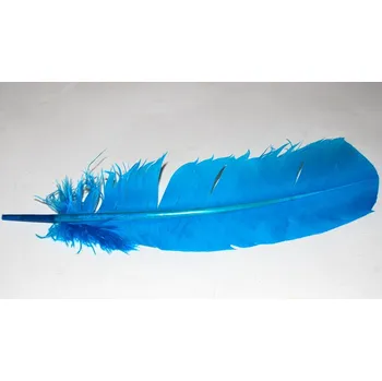 Karnevalový doplněk Barevná péra - 30 cm BarvaModrá