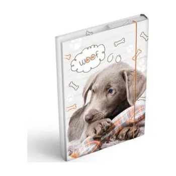 desky na sešit Box na sešity A4 PES mf