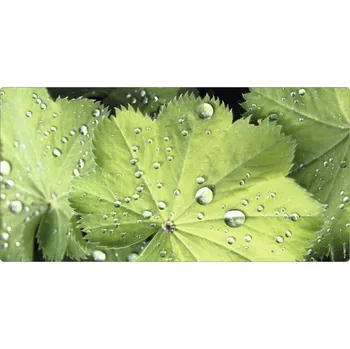 Obklad Koupelnová zádní stěna mySPOTTI aqua Good morning 90x45 cm