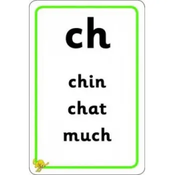 Cizí jazyk Oxford Reading Tree: Floppy's Phonics: Flashcards – Debbie Hepplewhite,Roderick Hunt (EN)