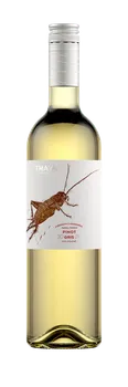 Víno Vinařství Thaya Pinot Gris 2021 pozdní sběr polosuché 0,75 l