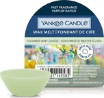 Yankee Candle Vonný vosk 22 g