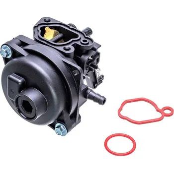 Briggs & Stratton 799584 karburátor