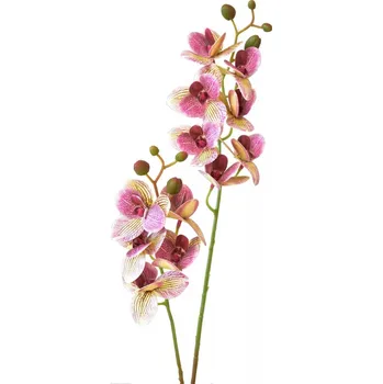 umělá květina Umělá orchidej 58,5 cm, tmavě růžová (134201 001 K03898 phalaenopsis tm.růžový)