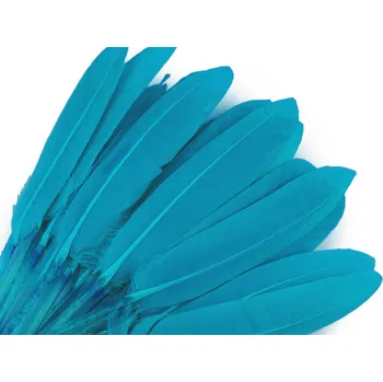 Výtvárné potřeby Kachní peří délka 9-14 cm, barva 46 modrá tyrkys