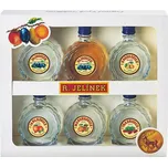 Dárková kazeta 6x0,05l Budíček R.Jelínek