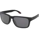 Sluneční brýle Oakley Holbrook OO9102 9102D6