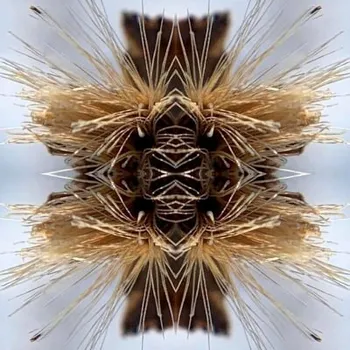 Zahraniční hudba Yakuza - Sutra (CD, SVART449CD)