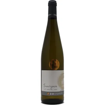 Víno BMVinařství Sauvignon 2019 pozdní sběr 0,75 l suché bílé víno