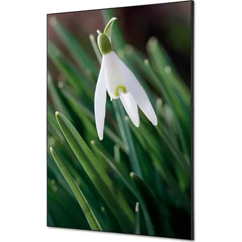 Textilní dekorace na zeď A1 Bílé sněženky