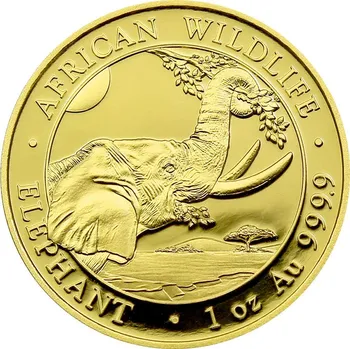 Sběratelství Zlatá investiční mince Slon africký Somálsko 1 Oz 2023