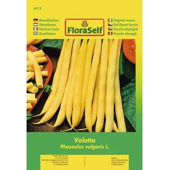 Semeno Keříčková fazole 'Voletta' FloraSelf