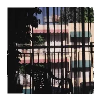 Zahraniční hudba LP Section 25: Dark Light CLR 2023 Clear Coloured Vinyl