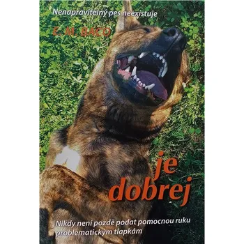 Kniha Je dobrej Ekniha