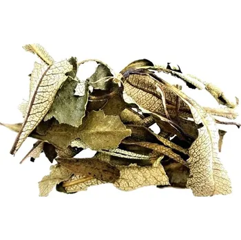 Čajovna Vykuřovadla YERBA SANTA - SVATÁ TRÁVA vykuřovadlo