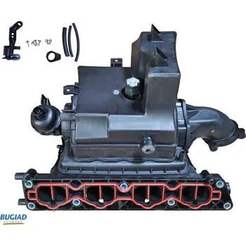 Vzduchový filtr Sací trubka, přívod vzduchu BUGIAD BIM17027