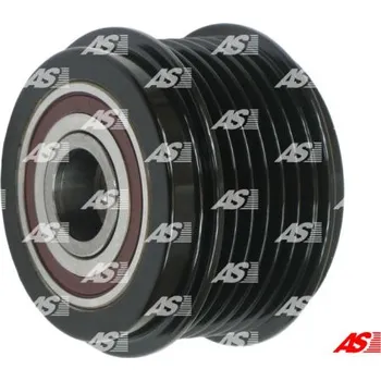 Alternátor Řemenice alternátoru s volnoběžkou AS-PL (AFP0075(LITENS))