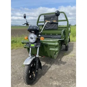 Elektrotříkolka Elektro Tříkolka Leramotors Cargo G1 1000W COC Zelená, Barva zelená Leramotors