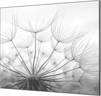 Glasdekor Ochranná deska bez lepení na zeď 52 x 60 cm