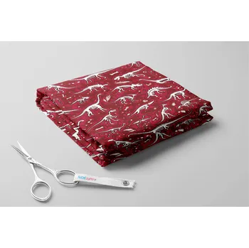 Softshell letní, Nálezy dinosaurů Barva: Červená