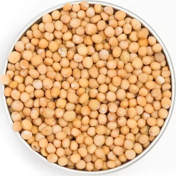 Koření Hořčice žlutá celá