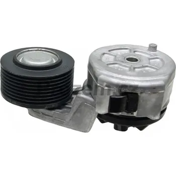 Rozvod motoru Napínací kladka řemene pro Case IH, John Deere, 87436755, 87409564, J945849, RE193648, RE164876