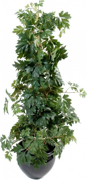 Luxusní umělý strom CISSUS ROSTLINA, 100 cm