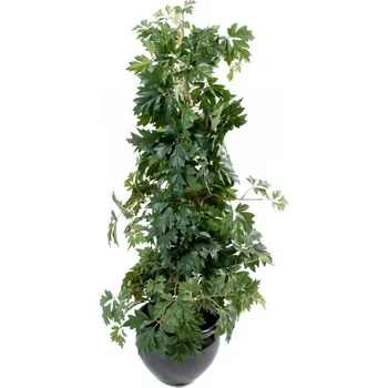 umělá květina Luxusní umělý strom CISSUS ROSTLINA, 100 cm