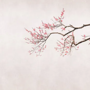 Tapeta Vliesová fototapeta na zeď Rasch 361070, Magic Walls, velikost 2,65 x 2,65 m