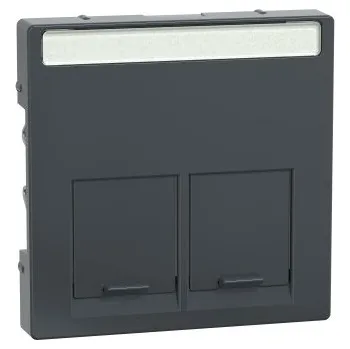 Elektrická zásuvka Kryt datové zásuvky 2xRJ45 Merten, Antracit MTN466514