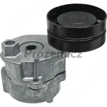 Rozvod motoru Napínací kladka řemene pro Fendt, F934201040240, F934201040070