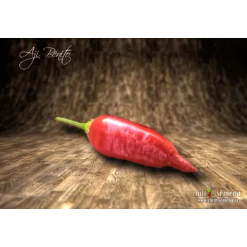 Semeno chilli-semena Aji Benito