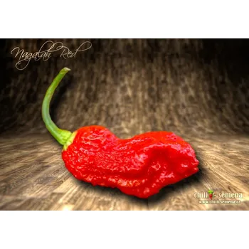 Semeno chilli-semena Nagalah Red