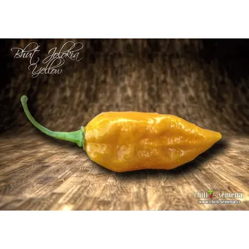 Semeno chilli-semena Bhut Jolokia Yellow