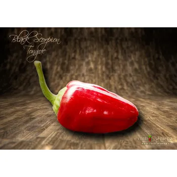 Semeno chilli-semena Black Scorpion Tongue